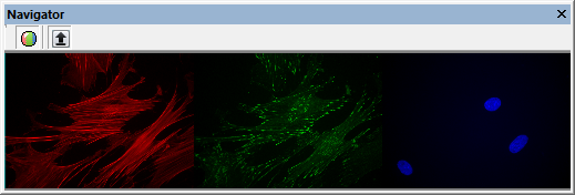 Image Navigator Split Channels